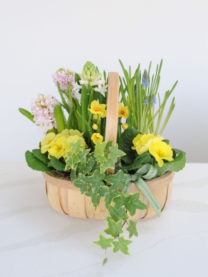 Spring Planted Basket