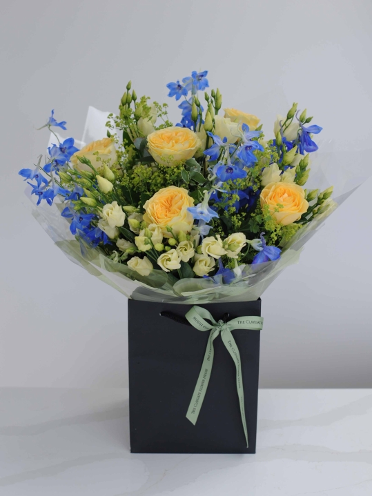 Sherbet Fizz Handtied