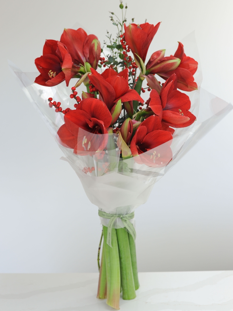 Step Into Christmas  WHITE OR RED